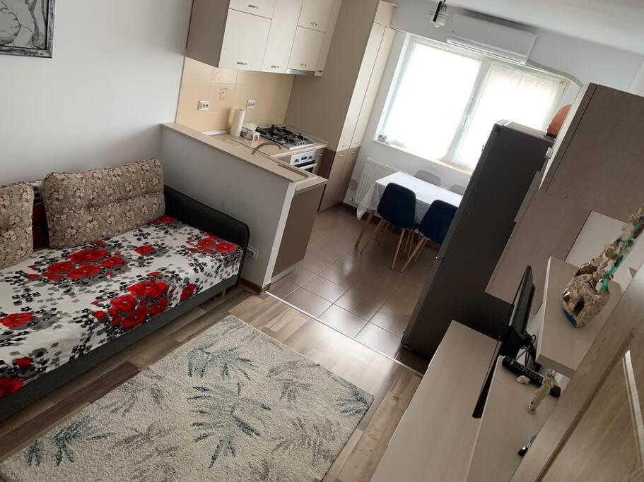 Lovely Bacau 1 Bedroom Apartment Bacău Exterior foto